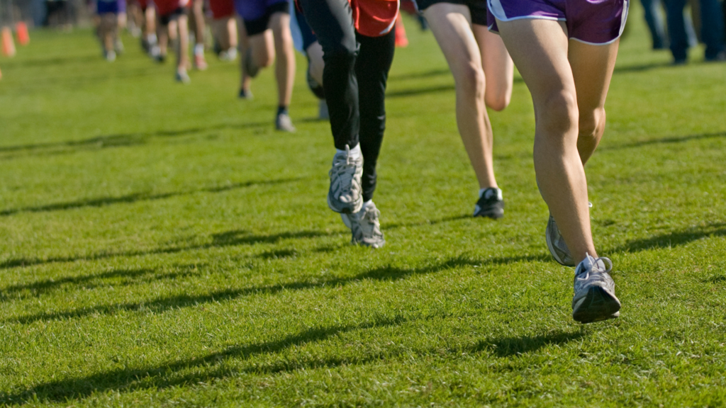 Cross-country runners competing on a grassy course during an outdoor race.